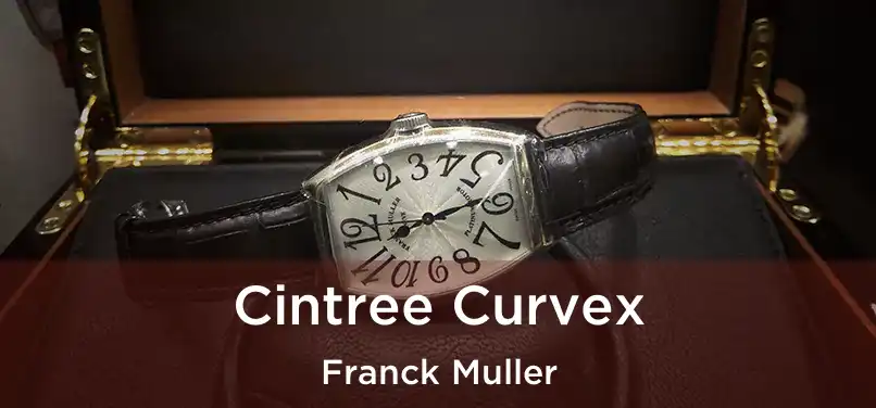  Cintree Curvex Franck Muller